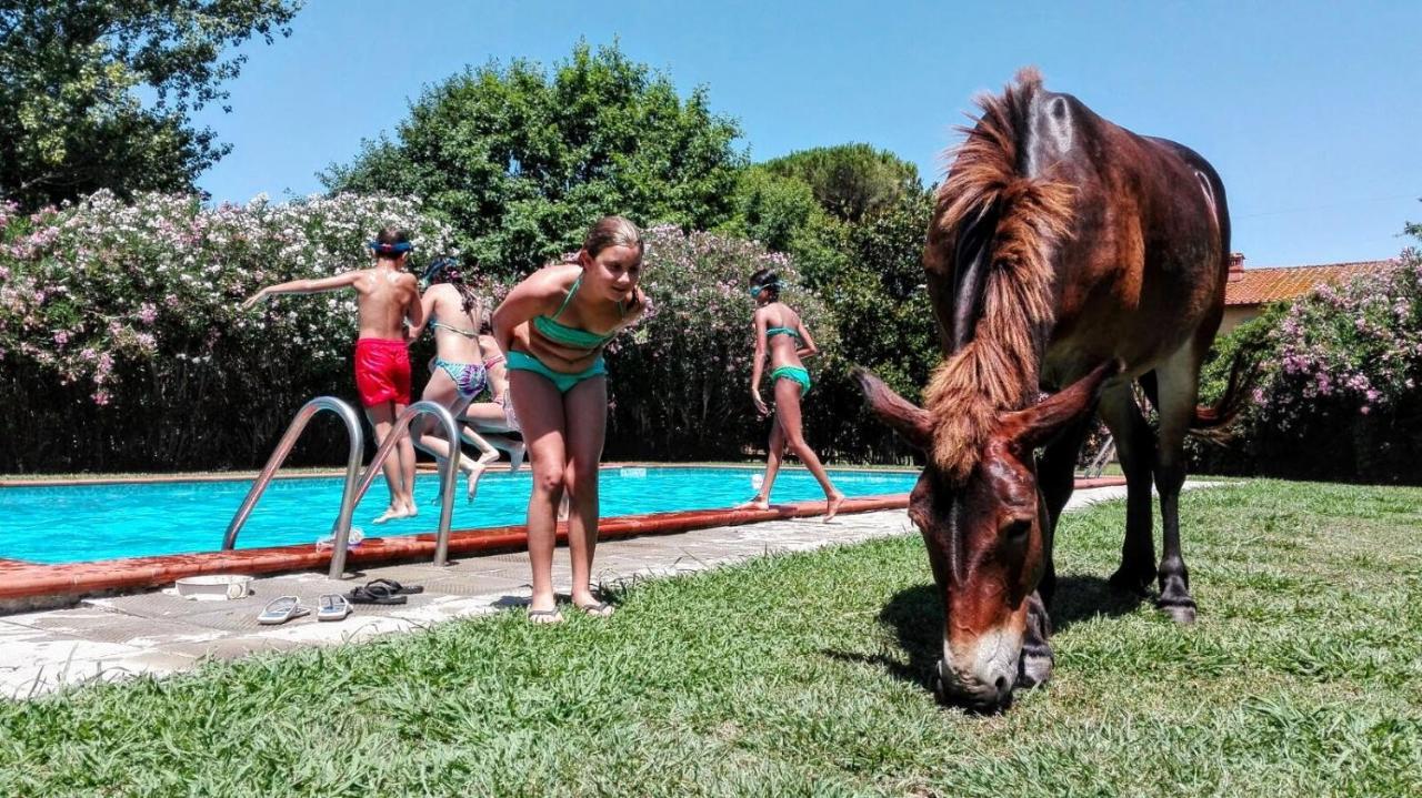Agriturismo Il Bottaccino Monsummano Terme 外观 照片